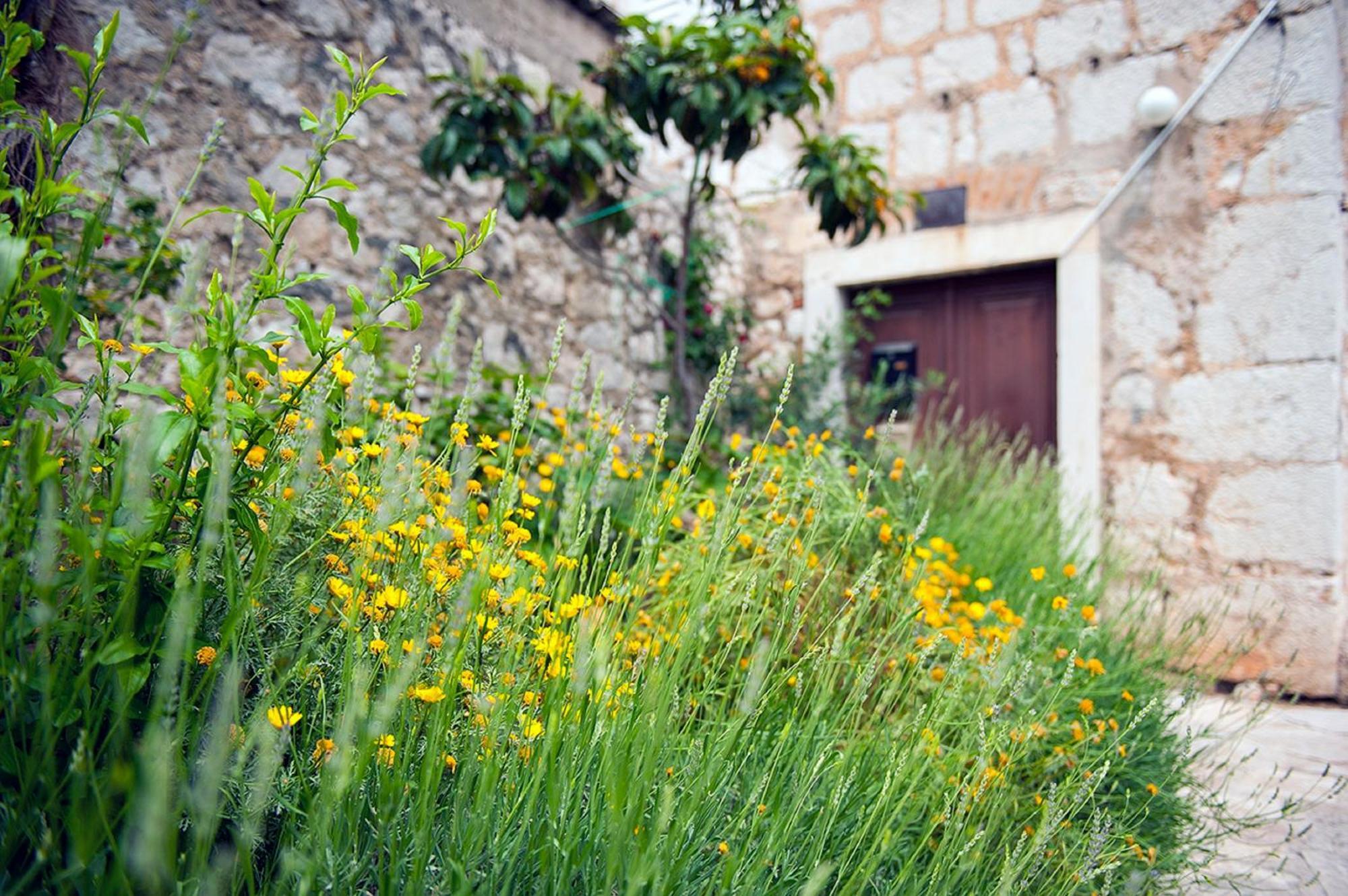 Dalmatian Garden - Free Parking - City Centre Sibenik Exterior photo